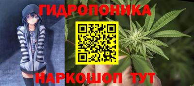 трава Краснознаменск