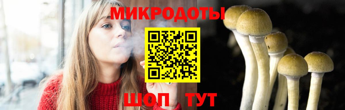 продажа наркотиков  Псилоцибиновые грибы Psilocybe  Вход с VPN  Шахты 